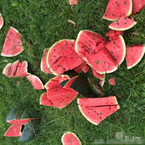 不到1小时，1吨多西瓜被全部砸光。