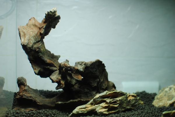 a987db33c895d143f4c477f073f082025baf0757 a987db33c895d143f4c477f073f082025baf0757