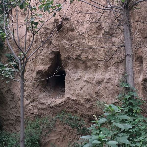 0023ae634f2018b5e8613e 0023ae634f2018b5e8613e