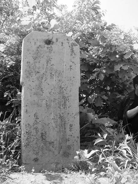 201209031037422328 201209031037422328