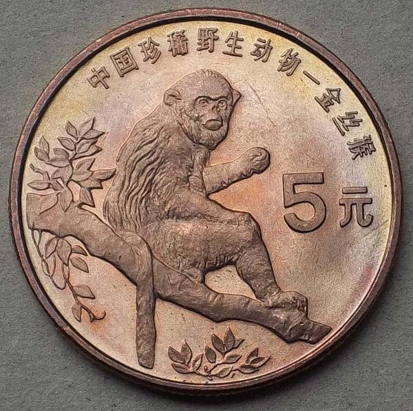 1134172422-ac-9589xf1x0600x0597-m 1134172422-ac-9589xf1x0600x0597-m