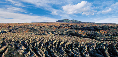 QQ图片20160601141454 QQ图片20160601141454