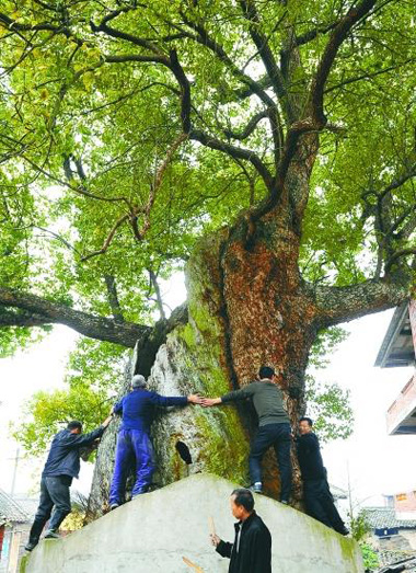 113f35b8e1fcf1898a967605e26b5e08 113f35b8e1fcf1898a967605e26b5e08