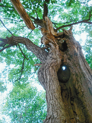 res09_attpic_brief res09_attpic_brief