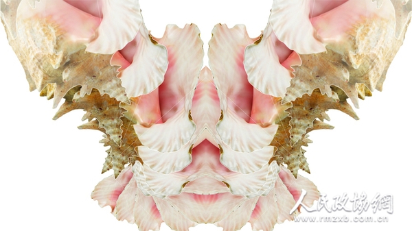 作品_Offscreen_2 作品_Offscreen_2