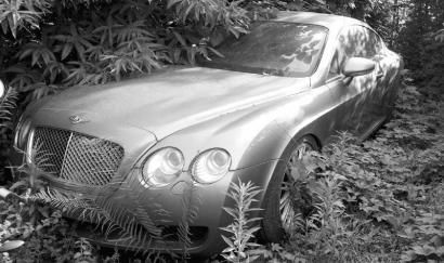 被杂草掩埋的宾利车。