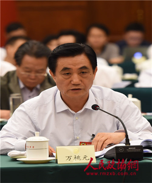 万桃元1 万桃元1