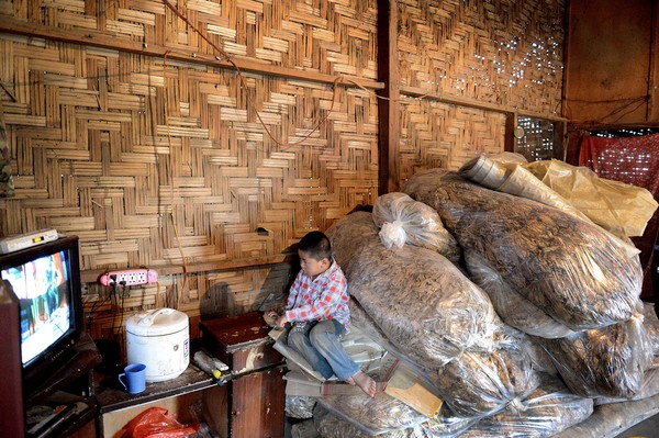 C20160603021-zx12 C20160603021-zx12