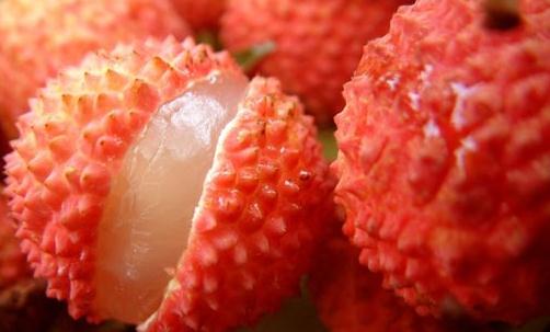 0049Trk9gy6Xu6tCrSz83&690 0049Trk9gy6Xu6tCrSz83&690