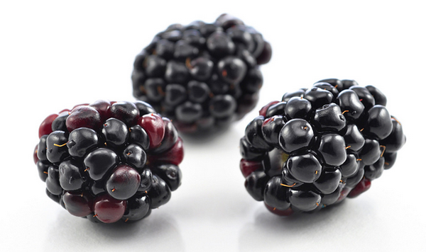 t010ac0cef580b396ae t010ac0cef580b396ae