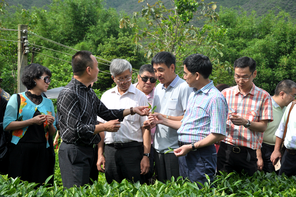 W020160602539938796402 W020160602539938796402