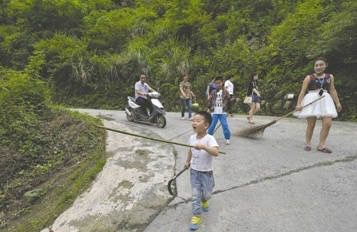 都江堰上百条放生蛇“上街”，