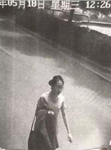 景区监控视频显示，5月18日中午，陈某某到达天门山景区。