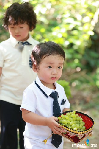 W020150819465407168605 W020150819465407168605