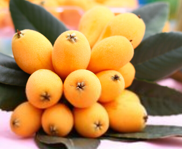 005CVNENzy6N45Xns6yde 005CVNENzy6N45Xns6yde