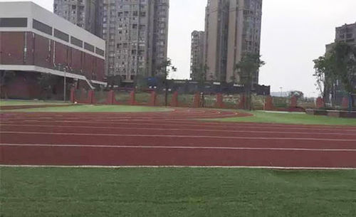 成都教科院附小的操场跑道，多位到过学校的家长反映，跑道和教室均有刺鼻的味道。