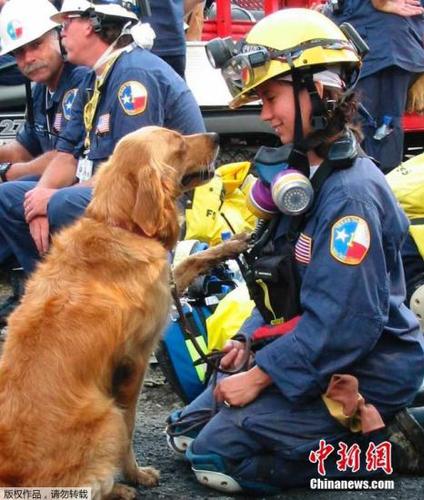 fb82935577154f119c7f5e5188390d1f fb82935577154f119c7f5e5188390d1f