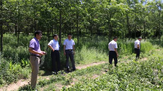 0ba403262af84b8c9f0e309e3136bdd4 0ba403262af84b8c9f0e309e3136bdd4