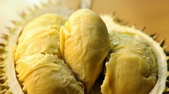 MAIN201606081045325901162175813 MAIN201606081045325901162175813