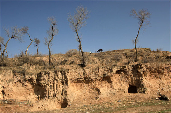 40_111128083204_1 40_111128083204_1