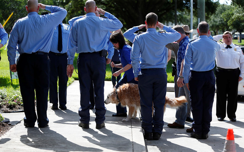 在德州的一家兽医医院，Bretagne接受了安乐死。在进入医院前，当地的消防员志愿者对他进行夹道送行并敬礼。Bretagne患有肾衰竭，并且停止进食。 图片来源：综合