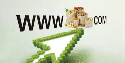 农村电商 农村电商