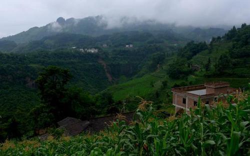 云南反思村民“盲井”式犯罪:从上到下的丑事