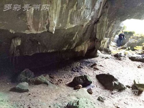 重庆15岁少女恋上大叔 两人私奔隐居贵州山洞