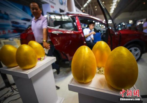 资料图。刘新 摄