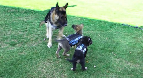 图为现场。1