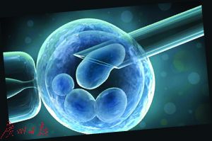 高龄妈妈冻存胚胎怀孕 胎儿与其11岁儿子