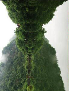 “属猴的人在猴年去峨眉山看猴，却拍下了‘孙大圣’照片?！毖钛笕衔馐且恢智珊?，也是他们与峨眉山的缘分。图为照片逆时针旋转90度后。