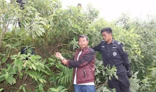 犯罪嫌疑人在警方押解下指认现场