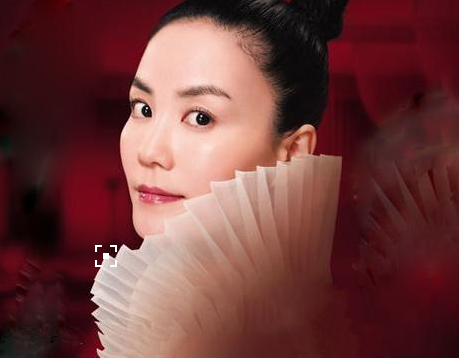 王菲罕见古装造型 王菲罕见古装造型