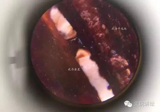 这是真金星和牛毛纹的对比，牛毛纹为一种雾化状，而金星是充实感