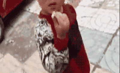 3岁男童叼烟拦车乞讨:睡公交站台 其父拒绝救助