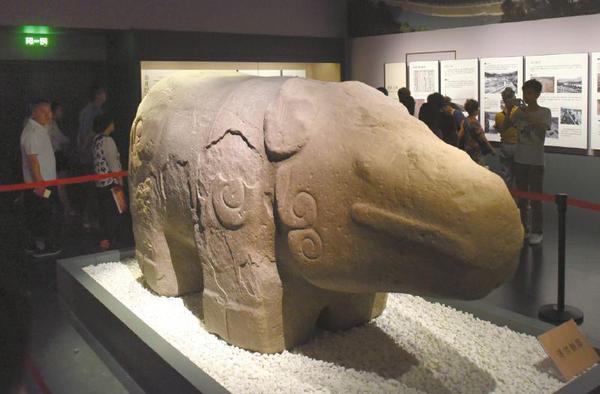 天府广场出土的石犀牛在展厅与市民见面。