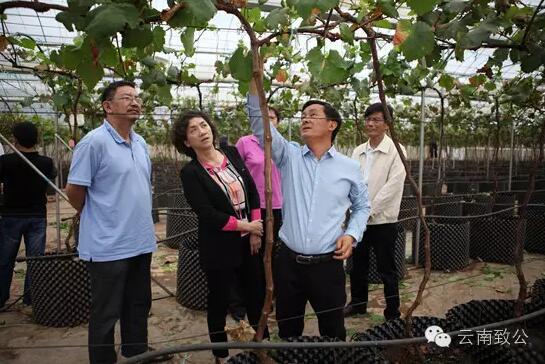 W020160616657464267377 W020160616657464267377