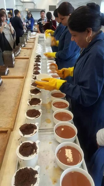 参观英国塔特利茶厂 参观英国塔特利茶厂