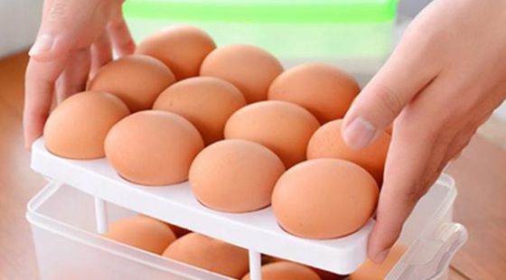 MAIN201606211049370552341282978 MAIN201606211049370552341282978