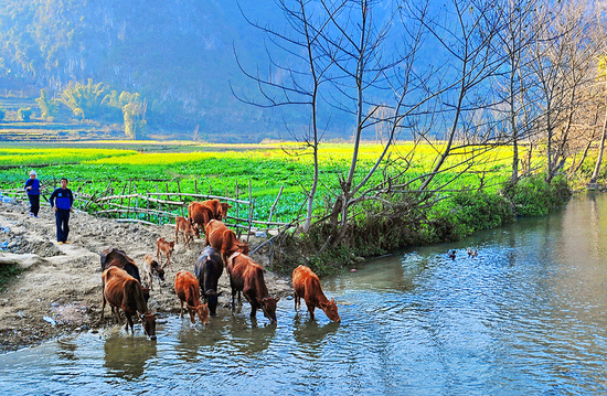 世外桃源,早已来到你的身边