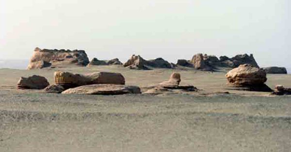 5791066170845510119 5791066170845510119