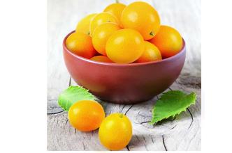 u=142311087,3894245352&fm=21&gp=0 u=142311087,3894245352&fm=21&gp=0