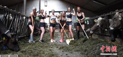 当地时间2016年6月22日，德国Apfeldorf，当地女性拍摄2017年“巴伐利亚农民之妻”日历。