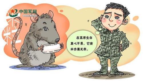 西藏哨所养老鼠:会作揖翻跟头 帮官兵规避雪崩