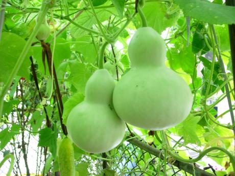 1396719681 1396719681