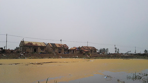 大片小麦漂浮在小洋河上，向东流去。