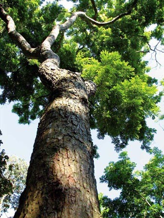 3c6d55fbb2fb43163ce8aaed21a4462308f7d3b6 3c6d55fbb2fb43163ce8aaed21a4462308f7d3b6