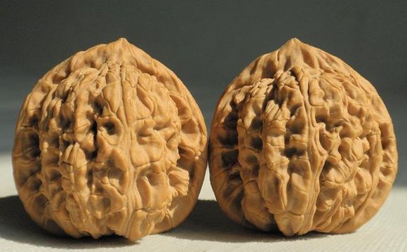 60f8a944ad345982e9c0c15408f431adcaef8457 60f8a944ad345982e9c0c15408f431adcaef8457