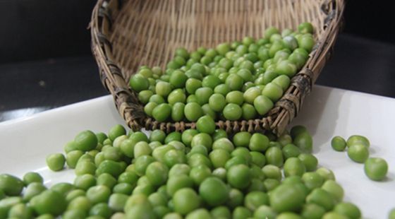 MAIN201606301032512355616530751 MAIN201606301032512355616530751